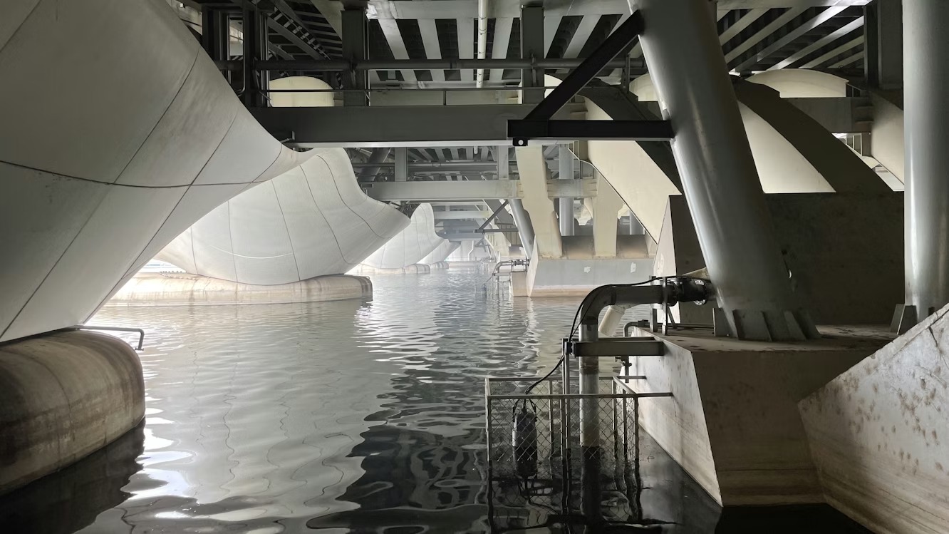 Dégât des eaux