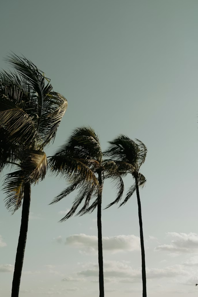 Catastrophe naturelle